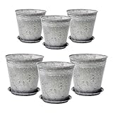 HOSERIMO Galvanized Metal Plant Pots with Tray- Lightweight Planter Set,6 Pack