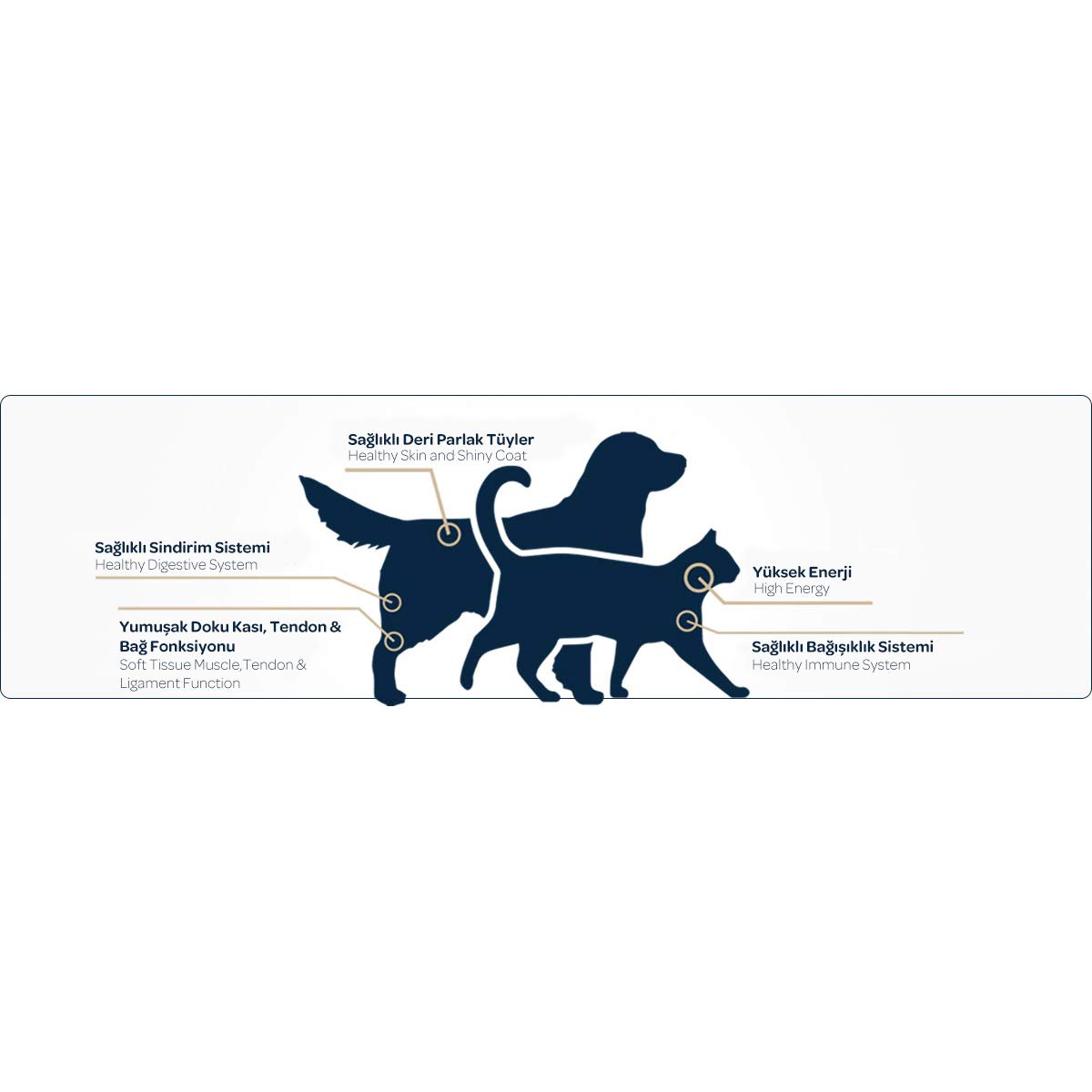 Obivan Premium Biftekli Köpek Maması 15 Kg - Hipoalerjenik, Bağışıklık Destekleyici, Sindirimi Kolay, Yüksek Proteinli Mama