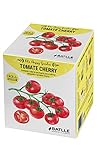 huerto tomates cherry Contiene todo lo necesario para cultivar pequeños tomates