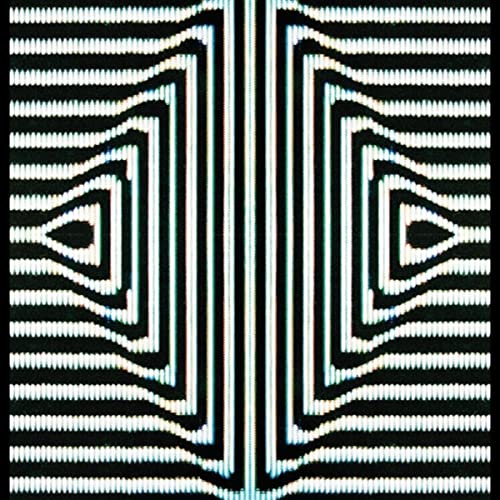 The Elevator by The Yellow Elevators on Amazon Music