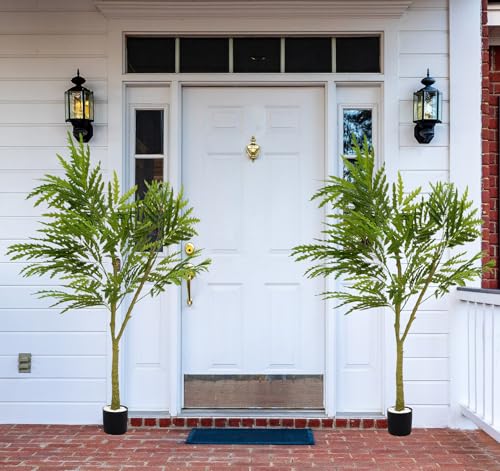 Tonchean USX2-0005 6Ft Artificial Potted Tree 2 Pack Faux Trees Fake Plant False Aralia Tall Corner Plant thumb #6