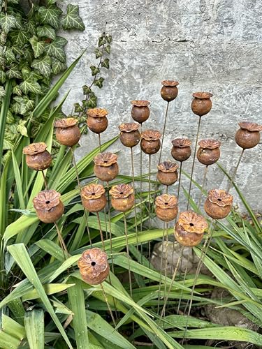 Rusty flowers set of 20, Poppy seeds head garden decor, Metal garden decor, metal yard art, outdoor metal decor, Rusty metal garden decor