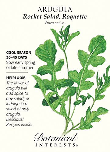 Arugula Rocket Salad Seed - 1 Grams Arugula Rocket Salad Seed - 1 Grams