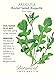 Arugula Rocket Salad Seed