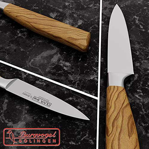 Foto von Burgvogel Solingen Spickmesser 10 cm geschmiedet Olivenholz, Oliva Line, rostfrei, deutsches Officemesser, hell, scharf, Braun Beige, 10 cm Spickmesser, 6910.926.10.0