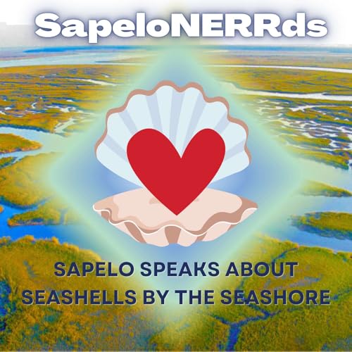 SINERR Studies Sea Shells by the Seashore cover art