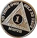 Ranger Industries 1 Month AA Medallion Glossy Classic Black 30 Day Sobriety Chip