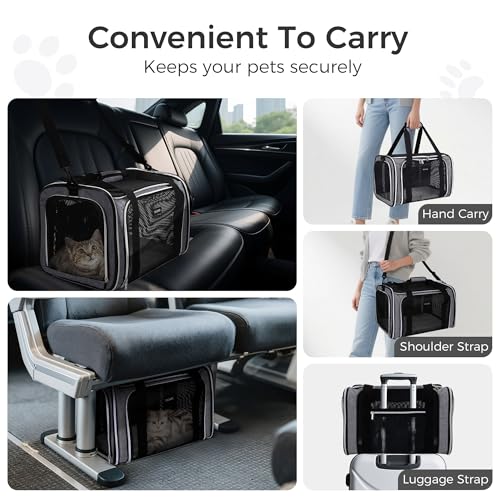 Image of BAGLHER Pet Travel Carrier, Cat Carriers Dog Carrier for Small Medium Cats Dogs Puppies, Airline Approved Small Dog Carrier Soft Sided, Collapsible Puppy Carrier. Grey