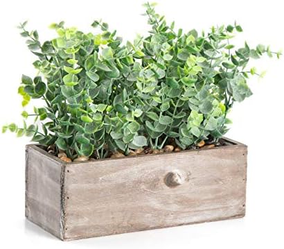 Velener Mini Potted Artificial Eucalyptus Plant for Home Decor (Wooden Tray)