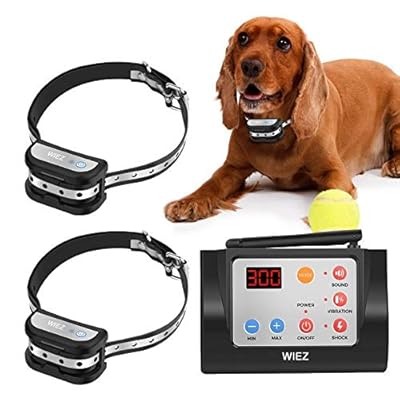 2 collar electric dog fence Clearance