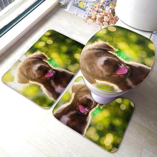 gC ӂJo[ 3_ ׂɂ uh[ q n[V  L[g C ӂ }CNt@Co[  唻  zD ~ K  킢