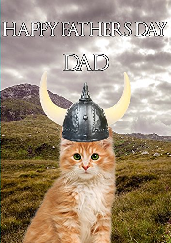 Ginger Cat Kitten HS164 Viking Warrior Fun cute Happy FATHER' S DAY carta A5 biglietti di auguri personalizzati Posted by US Gifts For All 2016 from Derbyshire UK