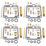 Vergaser Reparatursatz als Set für Ihr Motorrad