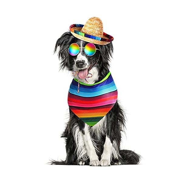 3 pcs mexican sombrero hat pet serape poncho costume include multicolor cinco de mayo dog bandana fiesta triangle bib dog sombrero hat round sunglasses costume for dog gifts cinco de mayo party decor - image 7