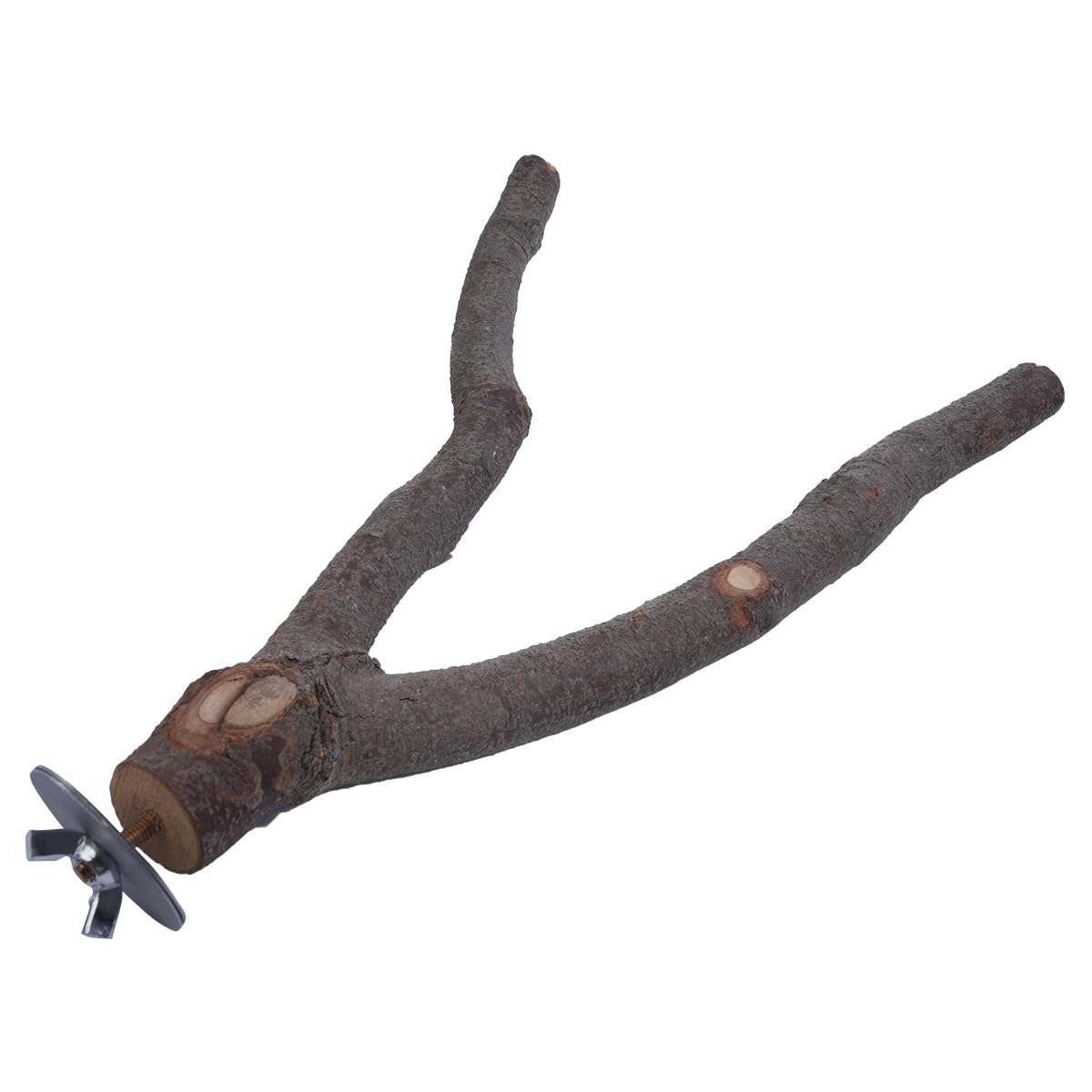 ZONADAH Parrot Perch Natural Y Shape Perch 25cm Bird Swing Birds Stand Grinding Paw Climbing Wood Cage Accessories for Parakeet Cockatiels Budgies Conure Lovebirds Thickness 2-3.5cm - Image 3