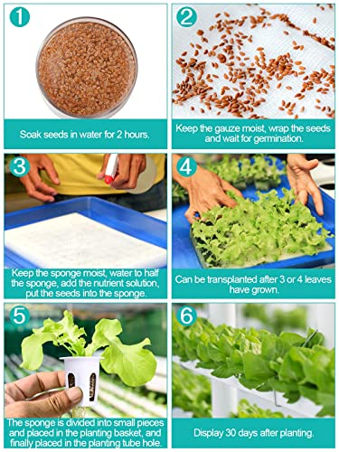 Kalolary Hydroponic Grow Kit, 72 Sites 4 Layers Hydroponic Planting Equipment with Water Pump, Pump Timer, Grow Baskets, Sponges - Image 6