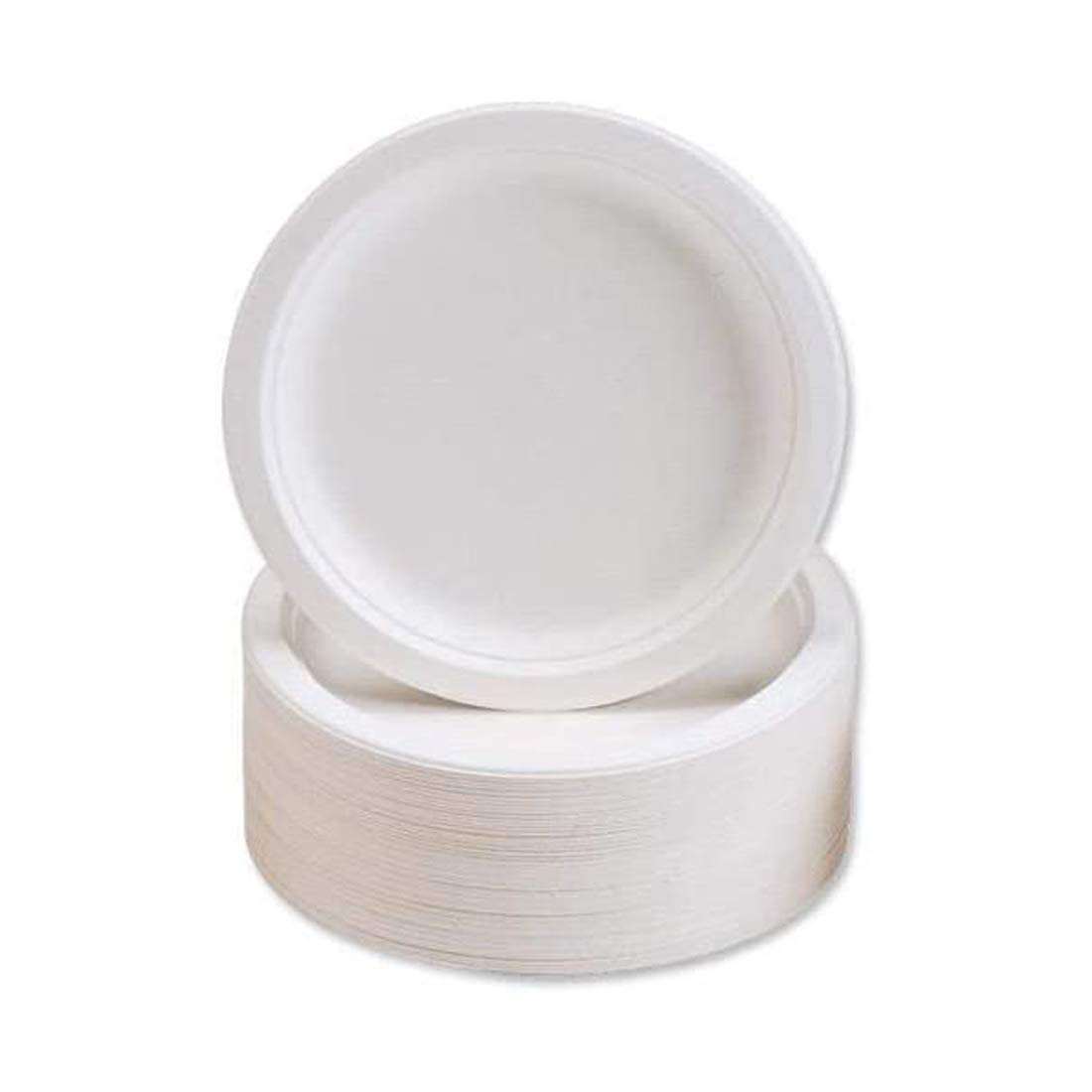 Premium 9 Inch Sugarcane Bagasse Disposable Plates (Pack of 500)