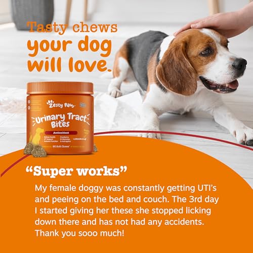 Image of Zesty Paws Cranberry Supplement for Dogs - Chicken, 90 Ct