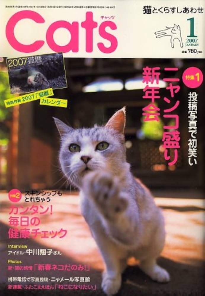 【~7/1 ねこ】 やちむんの里で出会った 可愛すぎる猫たち𓃠 ⁡ どうしても登り窯