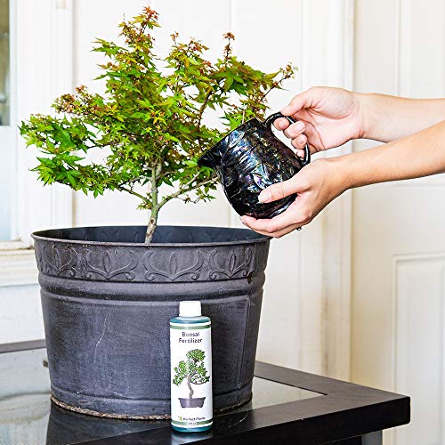 Fertilizante líquido para bonsái Perfect Plants 8 oz miniatura 3