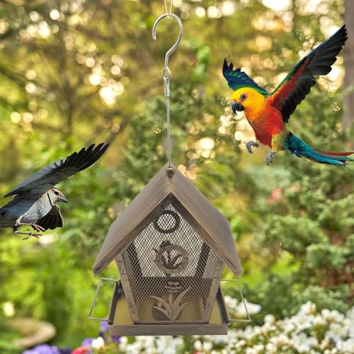 Mangeoire oiseaux grillagée pour observation faune sur terrasse - 7
