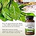 Jolly's Herbal Jamaican Guinea Hen Root, Anamu Herb, 100% Wild Harvested, 60 Vegi Capsules (Pack of 1)