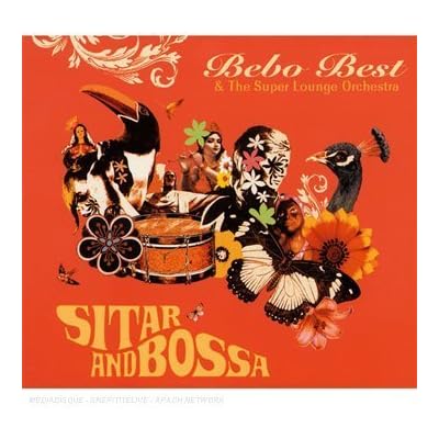 Sitar And Bossa