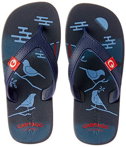 Slide Cartago Mini Dakar Meninos Azul/Azul/Vermelho 29