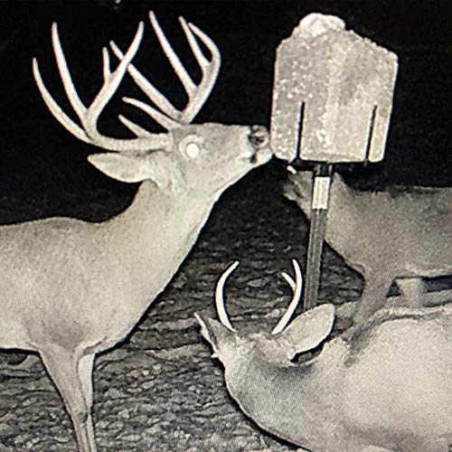 4S Advanced Wildlife Solutions | Feed Block Elevator | Hold Up to 50 LBS | Attract Target Animals | Salt Block | Deer, Livestock, & Cattle | Hunting Solutions | Food Plot Innovation | Farm Animals