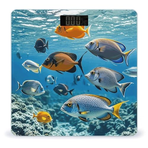 Fish in The Sea Báscula Digital de Baño Precisa