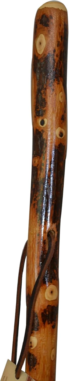 72" Tall Hickory/Elm Walking Stick, Walking Stick for Tall People, 6 Foot Tall