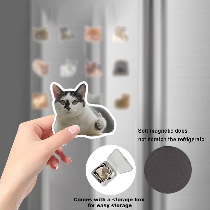 12 imanes decorativos redondos de gato divertido miniatura 4