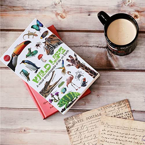 Wild Life Real Pages Diversion Book Safe With Combination Lock,Hidden Safe Secret Storage, Small Safe Lock Box For Cash Jewelry #TOP4