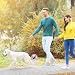 5 Stück Kein HundekloSchild Steckschild PVC für Rasen, Park, Spielplatz, Saubere Wege Hunde Kacken Verboten, Kein Hunde Pinkeln Hinweisschild