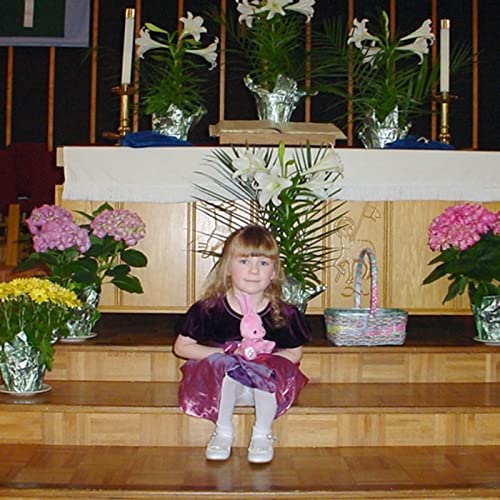 Episode 3: Easter 2022 Reminder