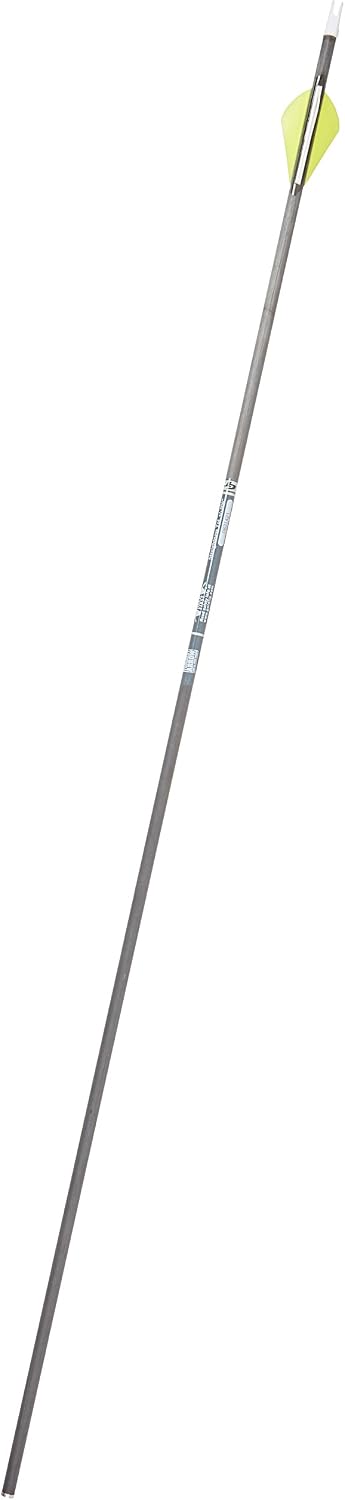Gold Tip Ultralight Entrada 600 Arrows with 2-Inch HP Vanes (Pack of 12)
