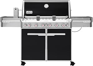 Best 6 Burner Gas Grills 5 51XHTbMblSL. AC SX299