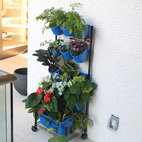 Watex Mobile Green Wall (Single Frame, Mediterranean Blue), Bpa-Free #TOP3