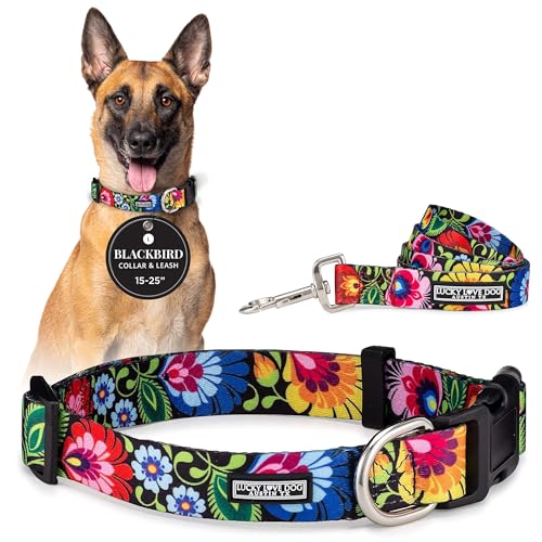 Lucky Love Dog - Easy Click Buckle Dog Collar with Leash Set Combo, Durable & Comfortable for Male & Female Dogs, Pet Collar for Small to Large Dogs, Secure Fit - Blackbird Combo, Large