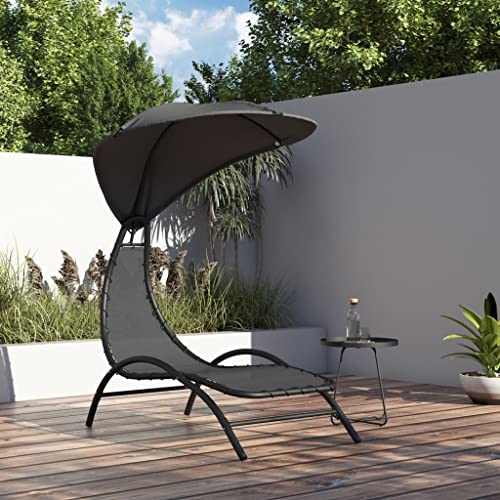Nqyjm Baño de Sol, Tumbona y Toldo Gris Oscuro 167x80x195 cm Tela y Acero Hamaca de Playa Relax al aire libre para Jardín, Terraza, Balcón, Camping