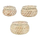 Cabilock 3 Piezas Cestas de Almacenamiento con Tapa Tejidas Mano Resistentes y Prácticas para Guardar Snacks y Objetos Varios el Hogar