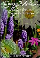 Energy Medicine: Healing from the Kingdoms of Nature 0969408331 Book Cover