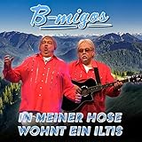 bilder iltis vw  In meiner Hose wohnt ein Iltis