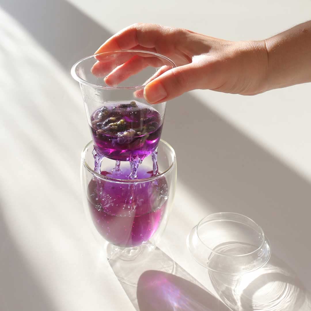 Infuseur à thé à double paroi en verre de 350 ml avec passoire transparente et couvercle | Coffret cadeau pour théière | Mug diffuseur pour une personne | Passoires à thé pour thé en vrac (2)