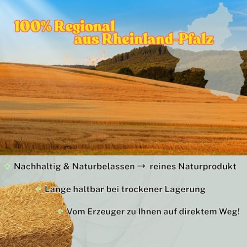 15 kg Bester Qualitäts Weizen Strohballen, trockenes frisches ungespritztes Stroh, aktuelle deutsche Ernte naturbelassen für Kaninchen Meerschweinchen Hasen Futter Deko, direkt vom Bauern