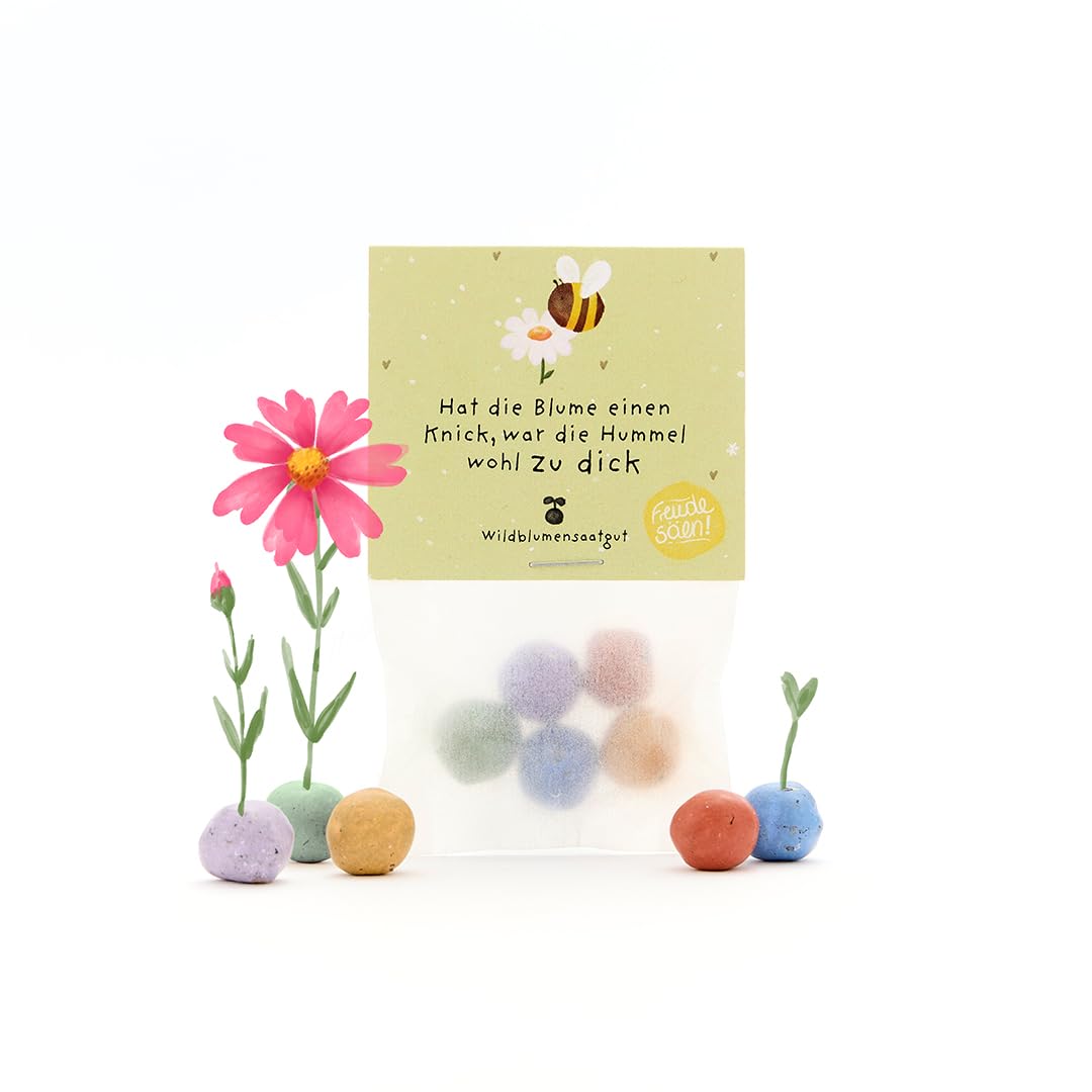 Regalo umoristico: 5 biglie di fiori colorate | bombe colorate con semi di fiori selvatici | come ringraziamento, bomboniera e piccoli saluti per giardinieri | 100% ecologico e resistente almeno 2