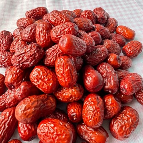 semillas resistentes de palmera datilera de jardín de azufaifo Decoración en resistentes al aire libre 125pcs