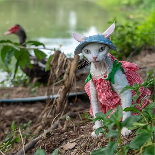 Robe pour chat Sphynx Devon Rex vêtement coton respirant M+ - 6