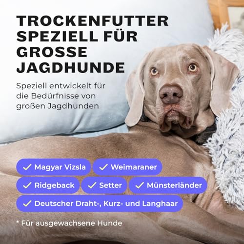 HEY HOLY Premium Trockenfutter für große Jagdhunde getreidefrei | 7kg hypoallergenes Hundefutter für ausgewachsene, große Jagdhunde mit Ente | Hochverträglich aus natürlichen Zutaten