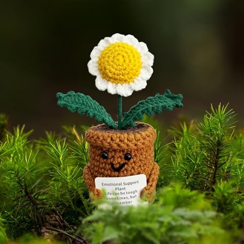 Madeliefjes Cadeaus voor Vrouwen en Mannen, Emotionele Steunplant Kerst Positieve Bloem Afscheid Beterschap Denk aan Je Dankjewel Geschenken voor Haar Moeder Juf Meisjes Vrienden Collega's - Afbeelding 3